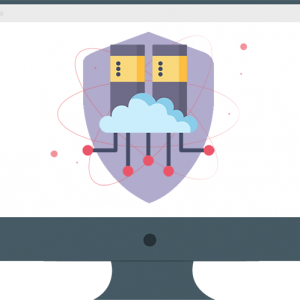 Website Hosting & Security